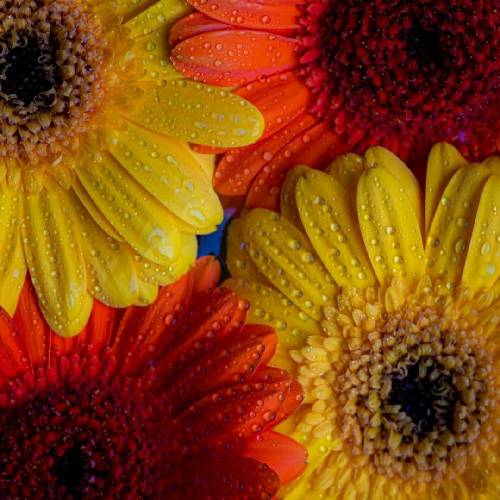 اجرای گروهی آهای گوشه نشین قلب من غم هاتو